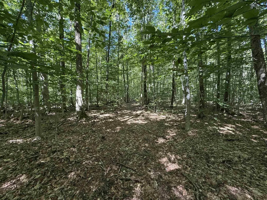 215 & 221 Vt Route 30 Dorset VT 05251