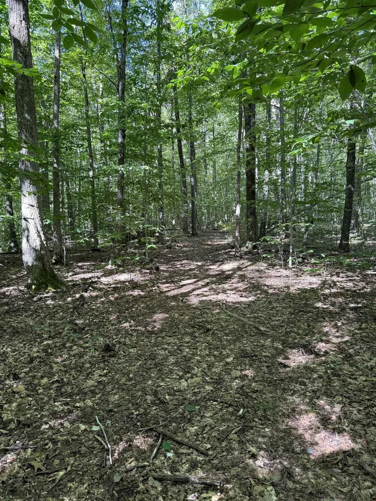 215 & 221 Vt Route 30 Dorset VT 05251