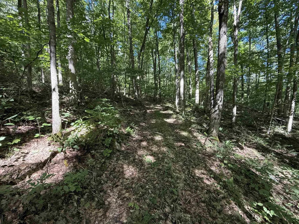 215 & 221 Vt Route 30 Dorset VT 05251