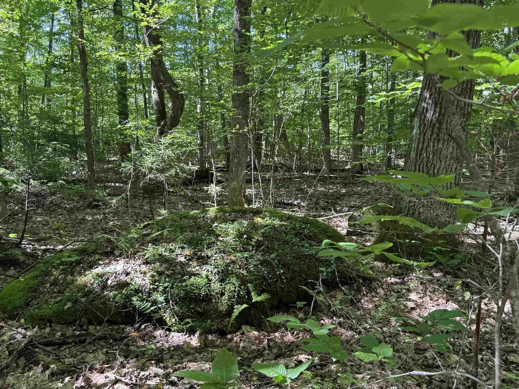 215 & 221 Vt Route 30 Dorset VT 05251