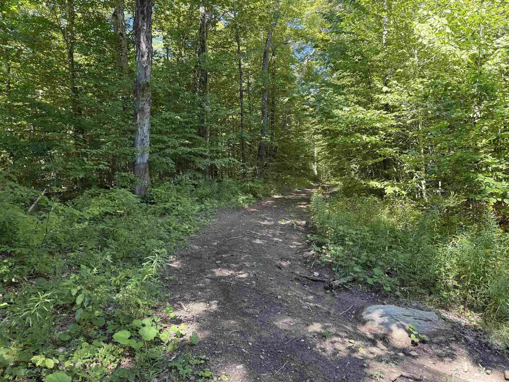 215 & 221 Vt Route 30 Dorset VT 05251