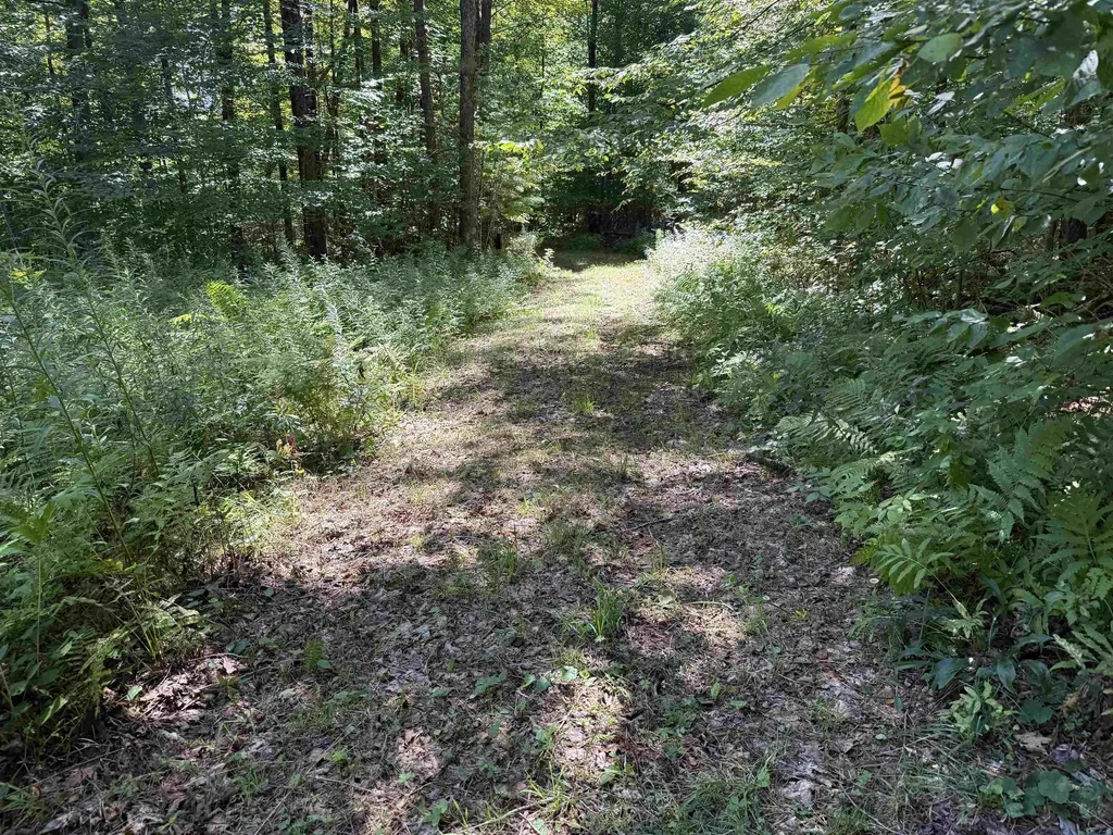 215 & 221 Vt Route 30 Dorset VT 05251