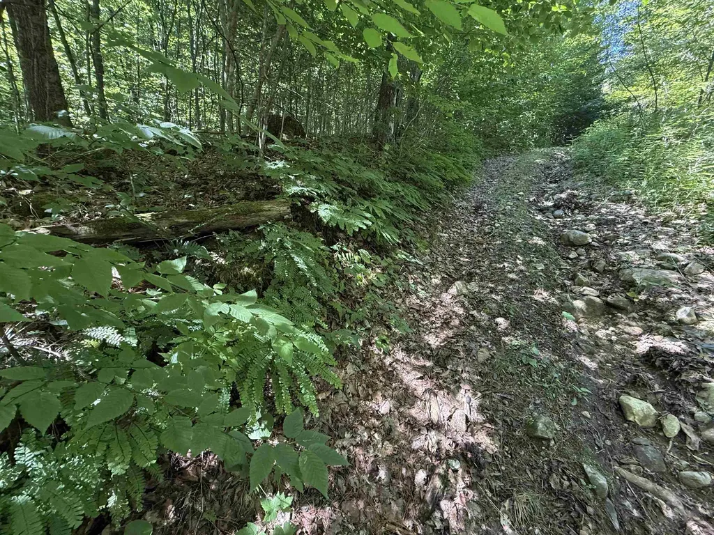 215 & 221 Vt Route 30 Dorset VT 05251