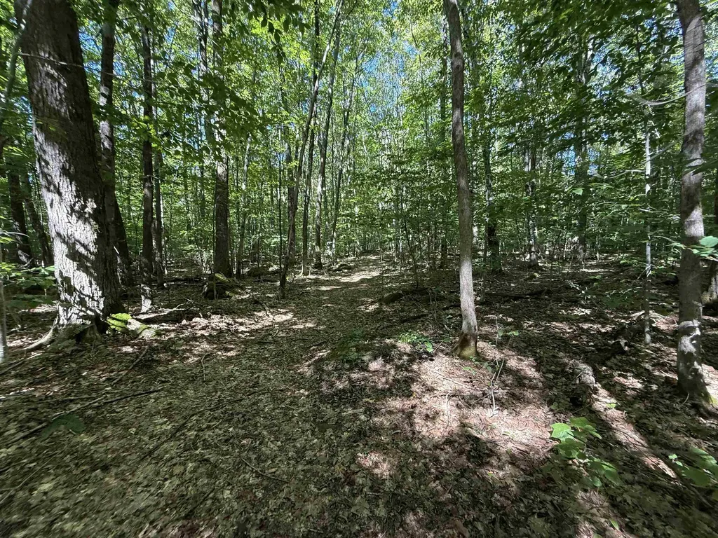 215 & 221 Vt Route 30 Dorset VT 05251