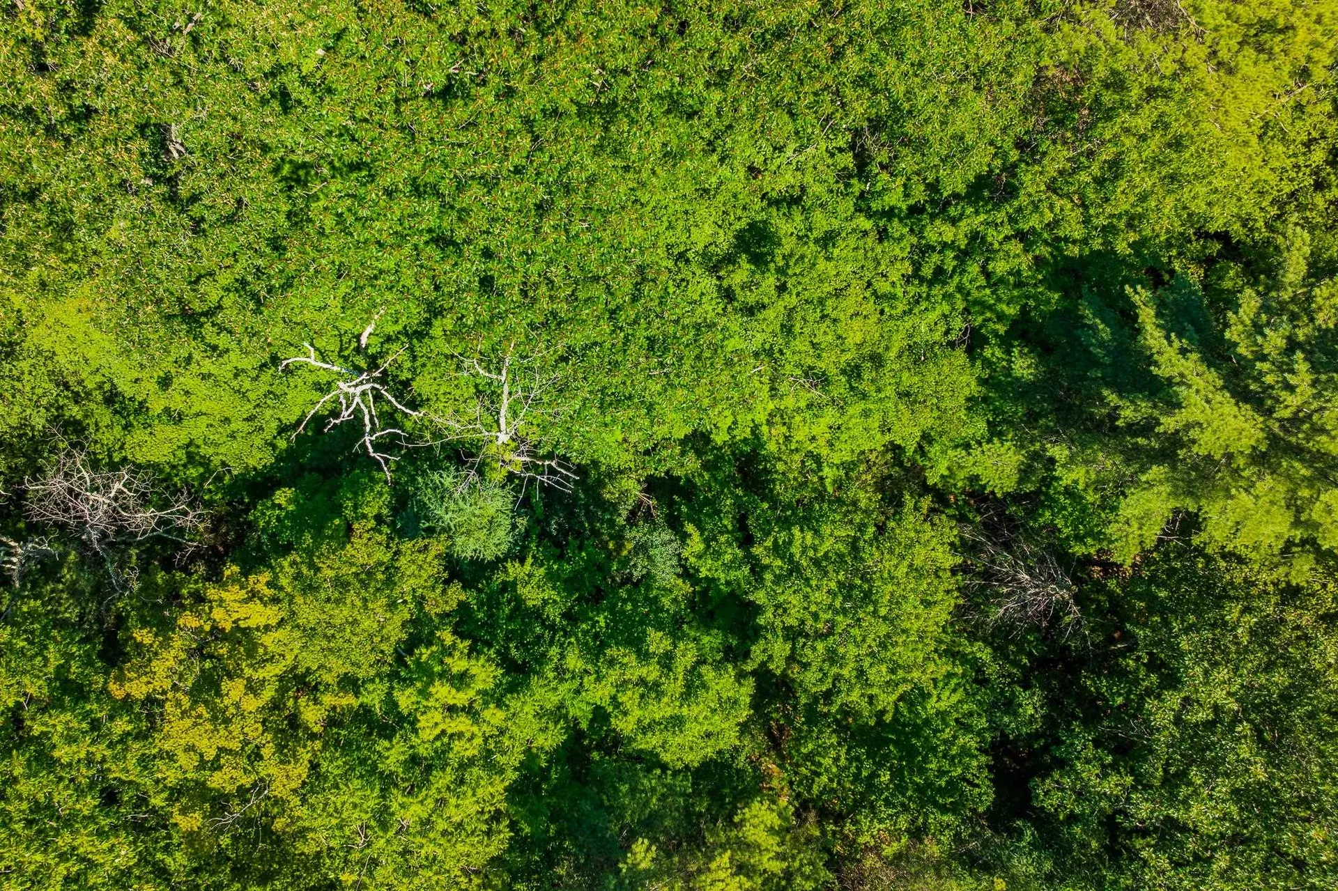 215 & 221 Vt Route 30 Dorset VT 05251