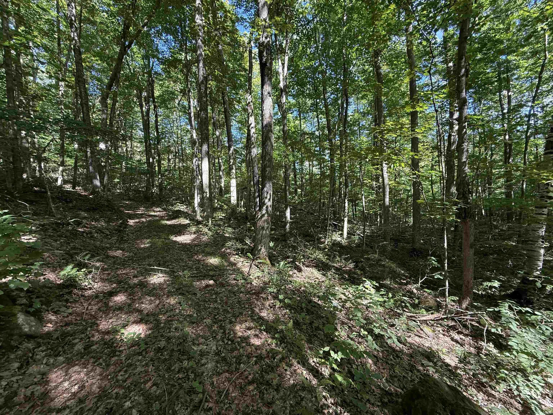 215 & 221 Vt Route 30 Dorset VT 05251