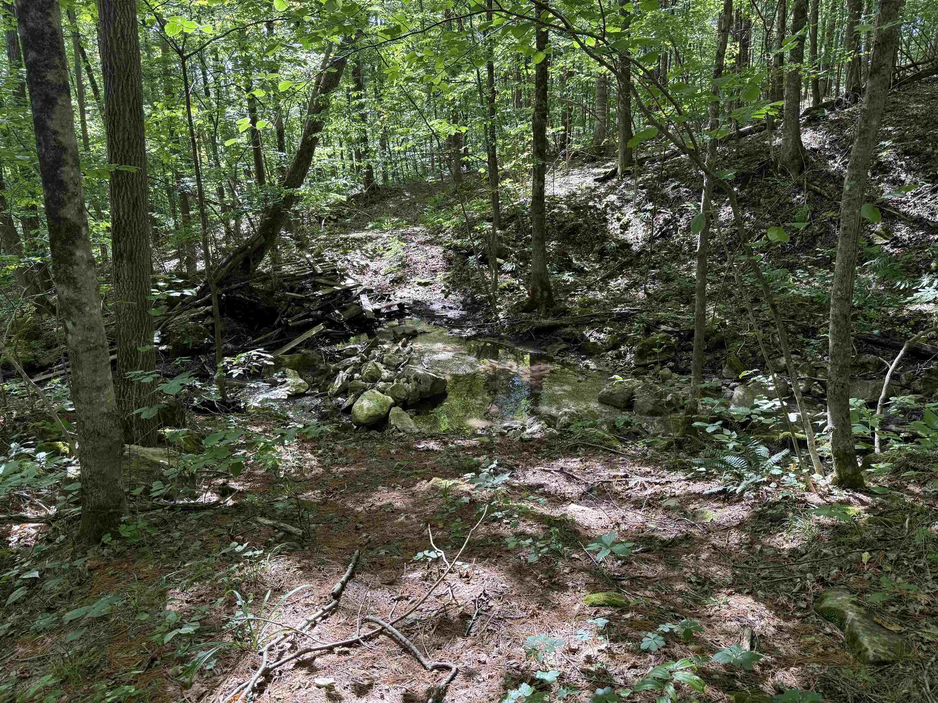 215 & 221 Vt Route 30 Dorset VT 05251