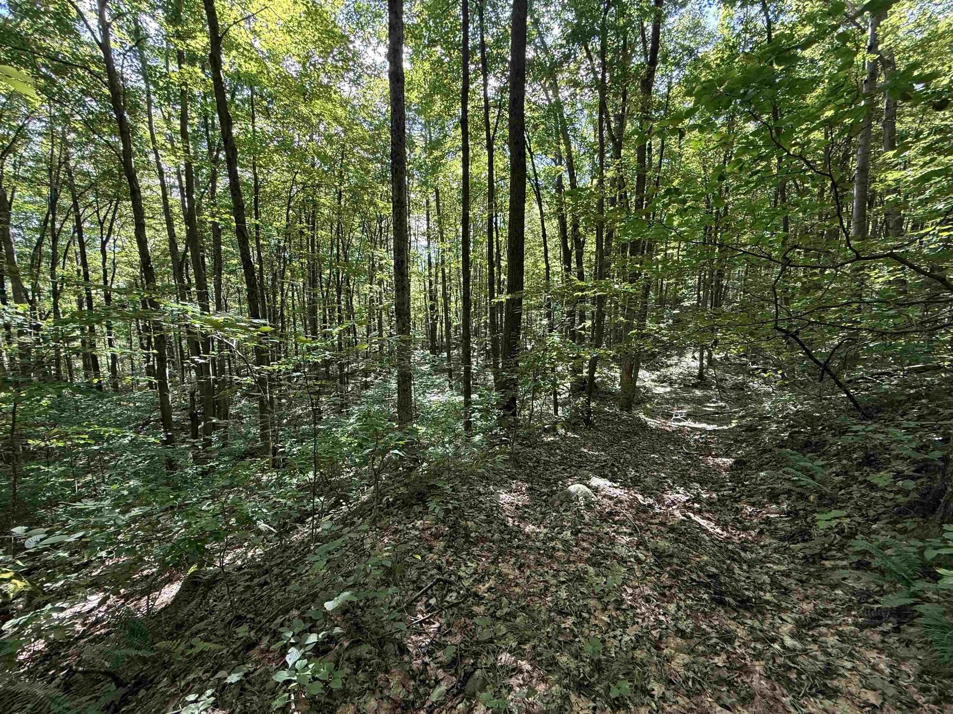 215 & 221 Vt Route 30 Dorset VT 05251