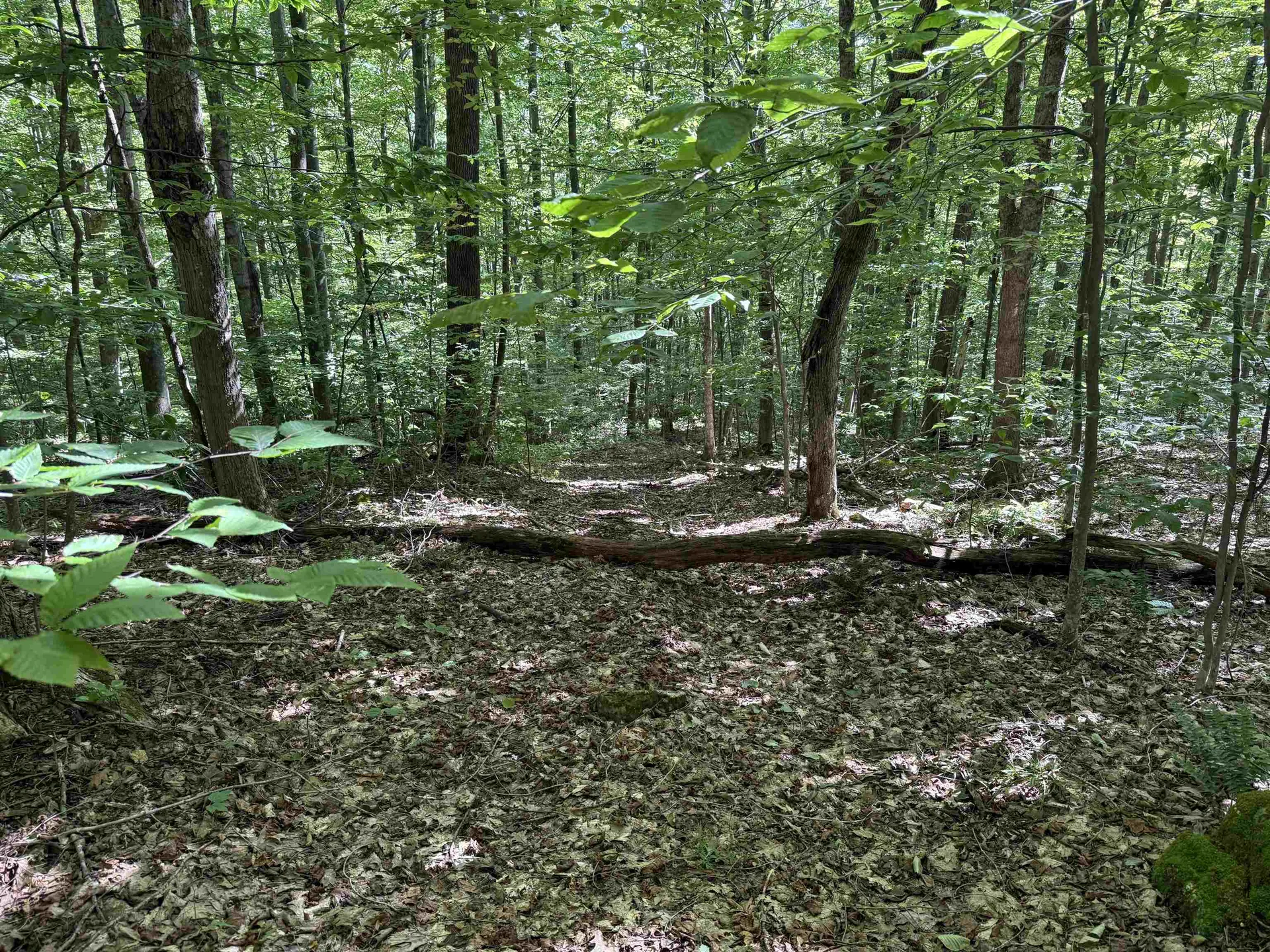 215 & 221 Vt Route 30 Dorset VT 05251