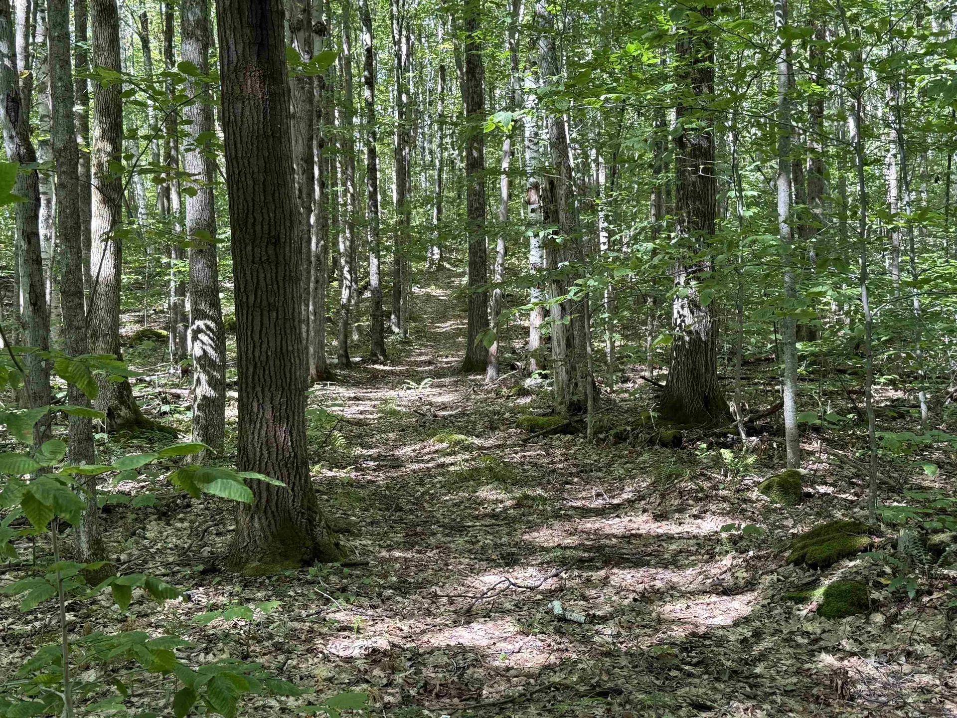 215 & 221 Vt Route 30 Dorset VT 05251