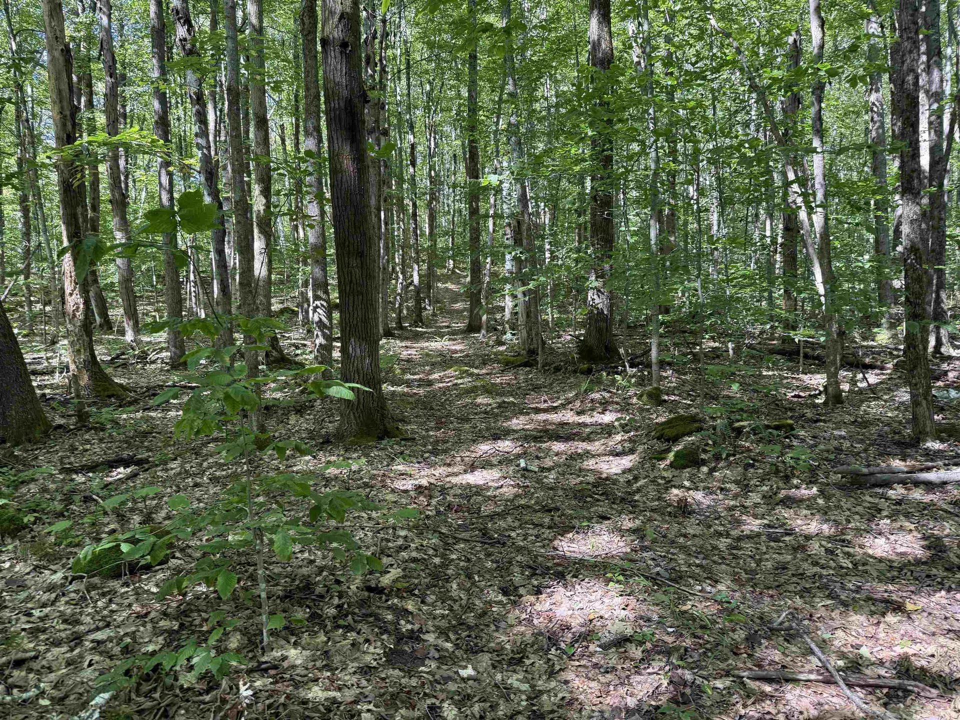 215 & 221 Vt Route 30 Dorset VT 05251