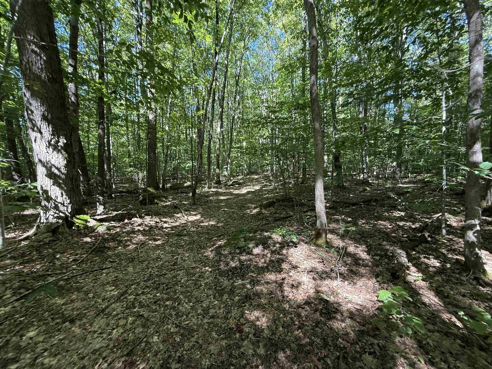 215 & 221 Vt Route 30 Dorset VT 05251