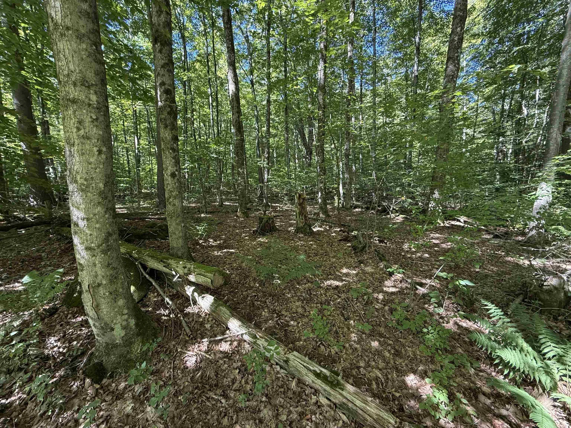 215 & 221 Vt Route 30 Dorset VT 05251