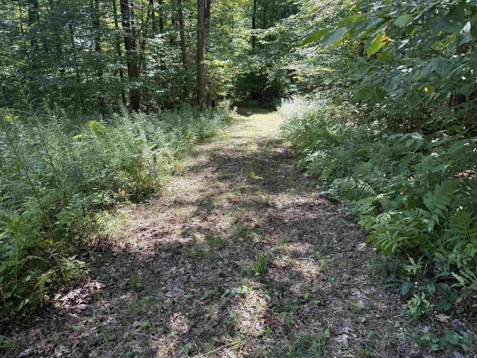 215 & 221 Vt Route 30 Dorset VT 05251