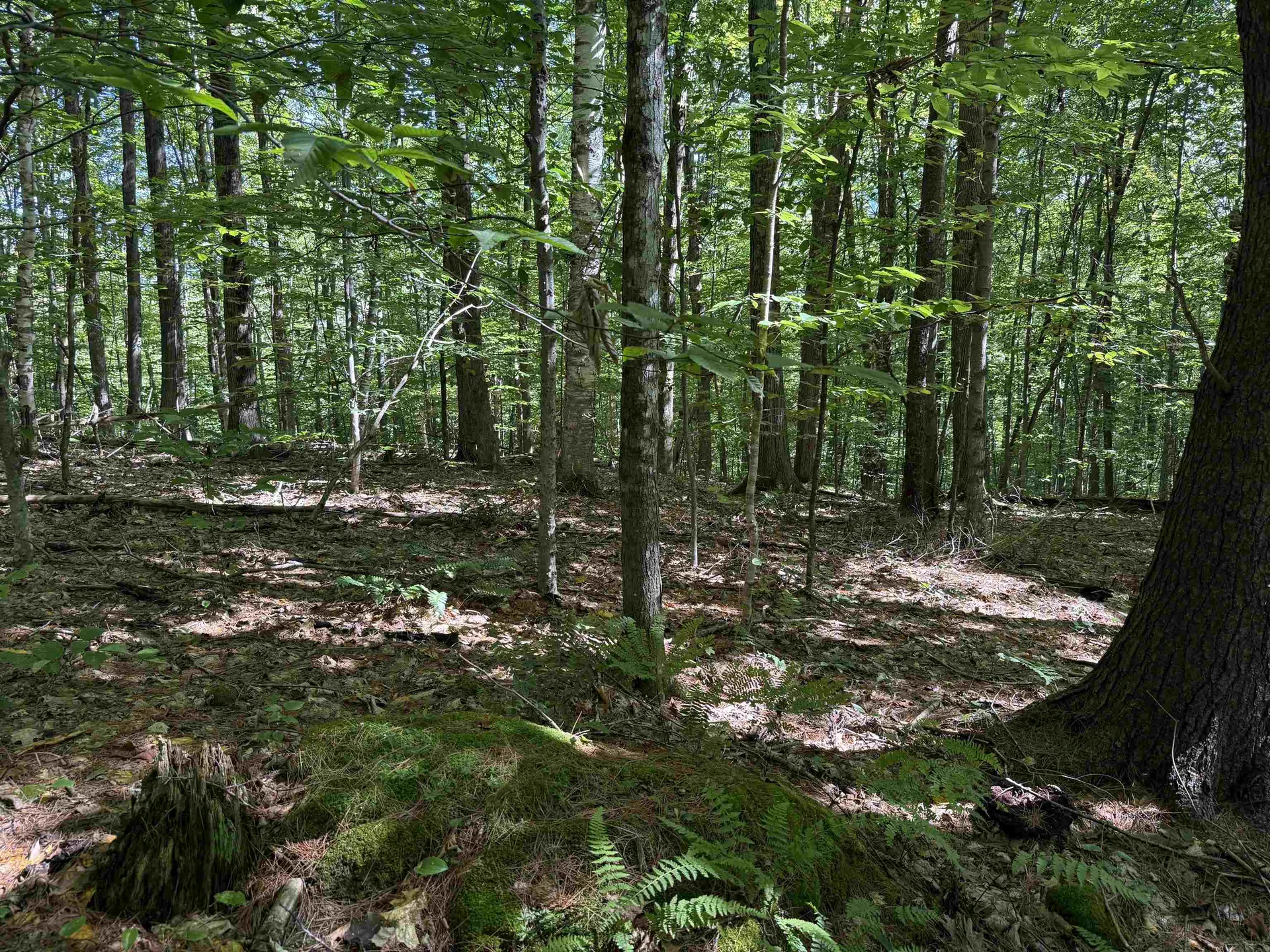 215 & 221 Vt Route 30 Dorset VT 05251