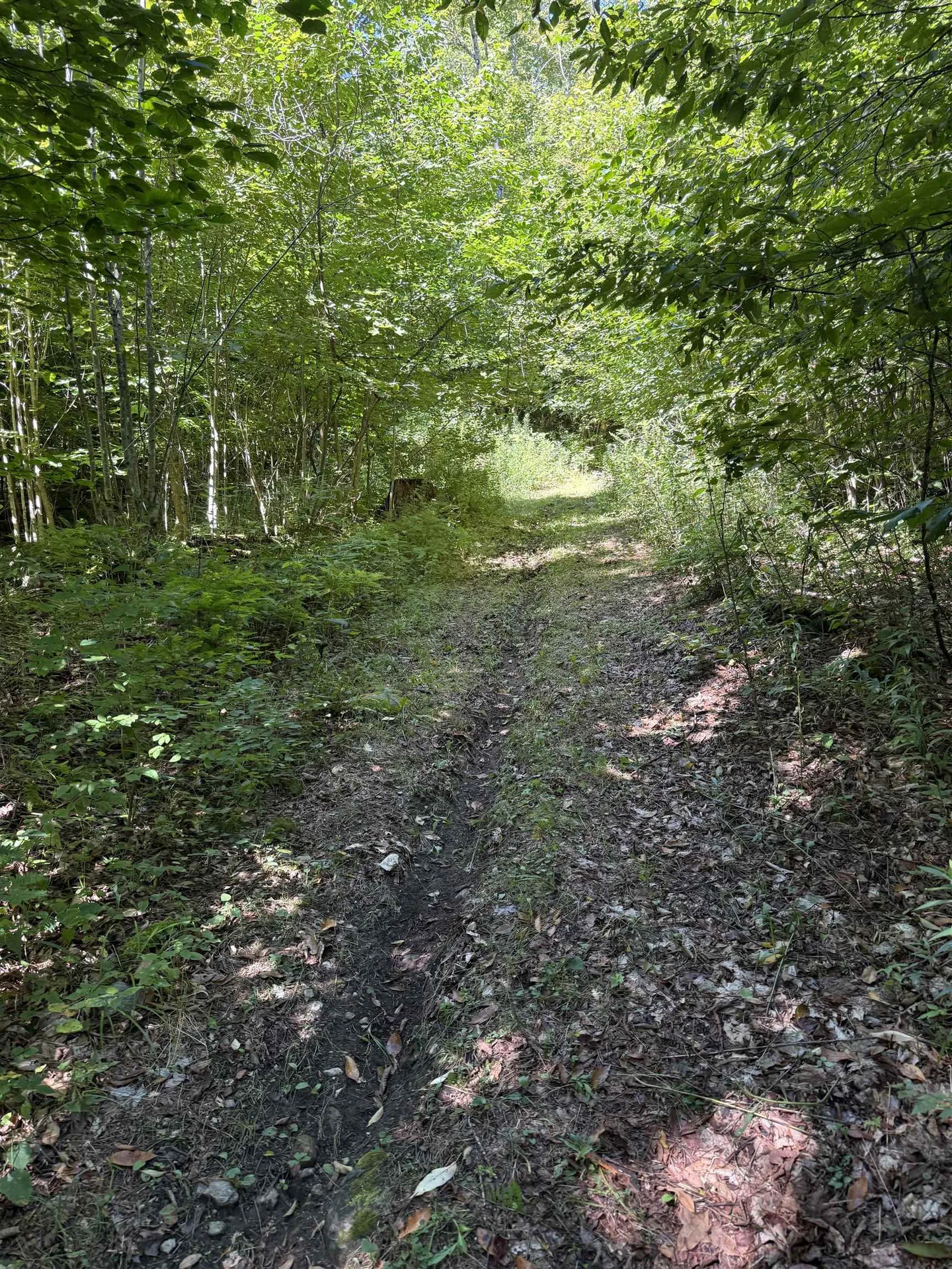 215 & 221 Vt Route 30 Dorset VT 05251