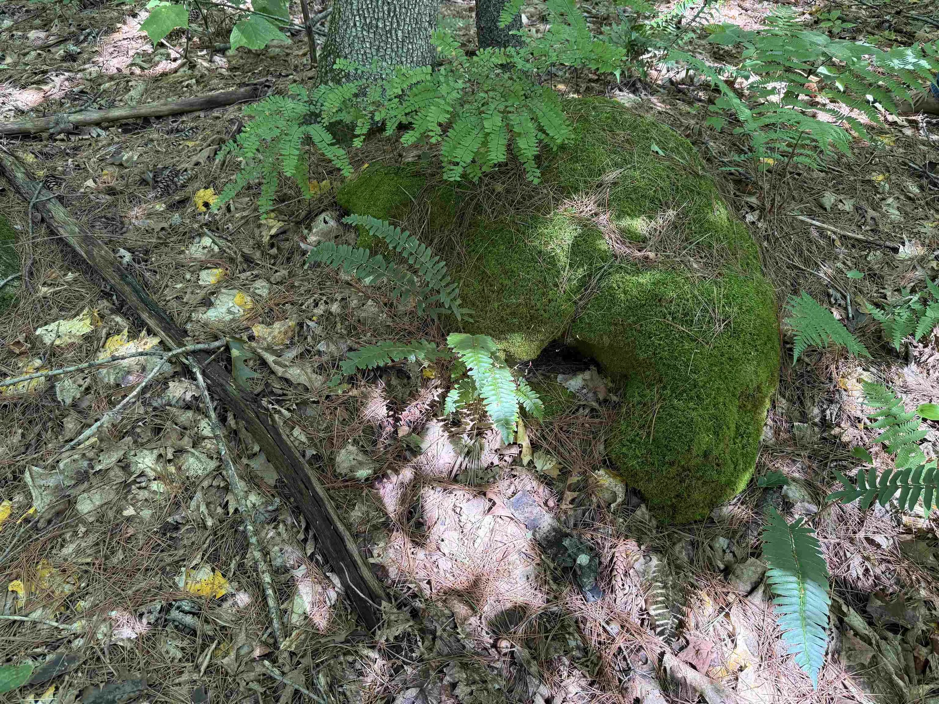 215 & 221 Vt Route 30 Dorset VT 05251