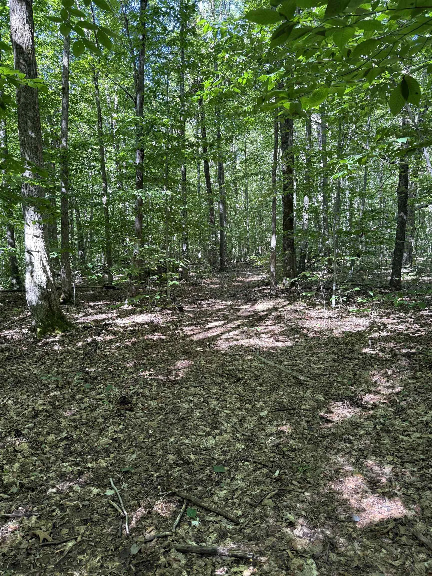 215 & 221 Vt Route 30 Dorset VT 05251