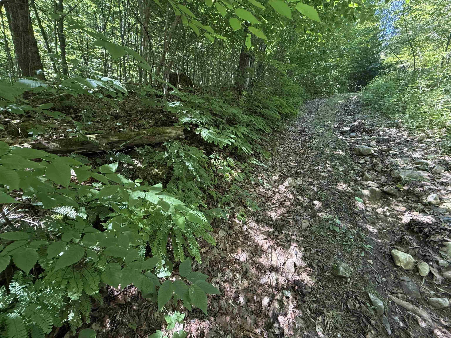 215 & 221 Vt Route 30 Dorset VT 05251