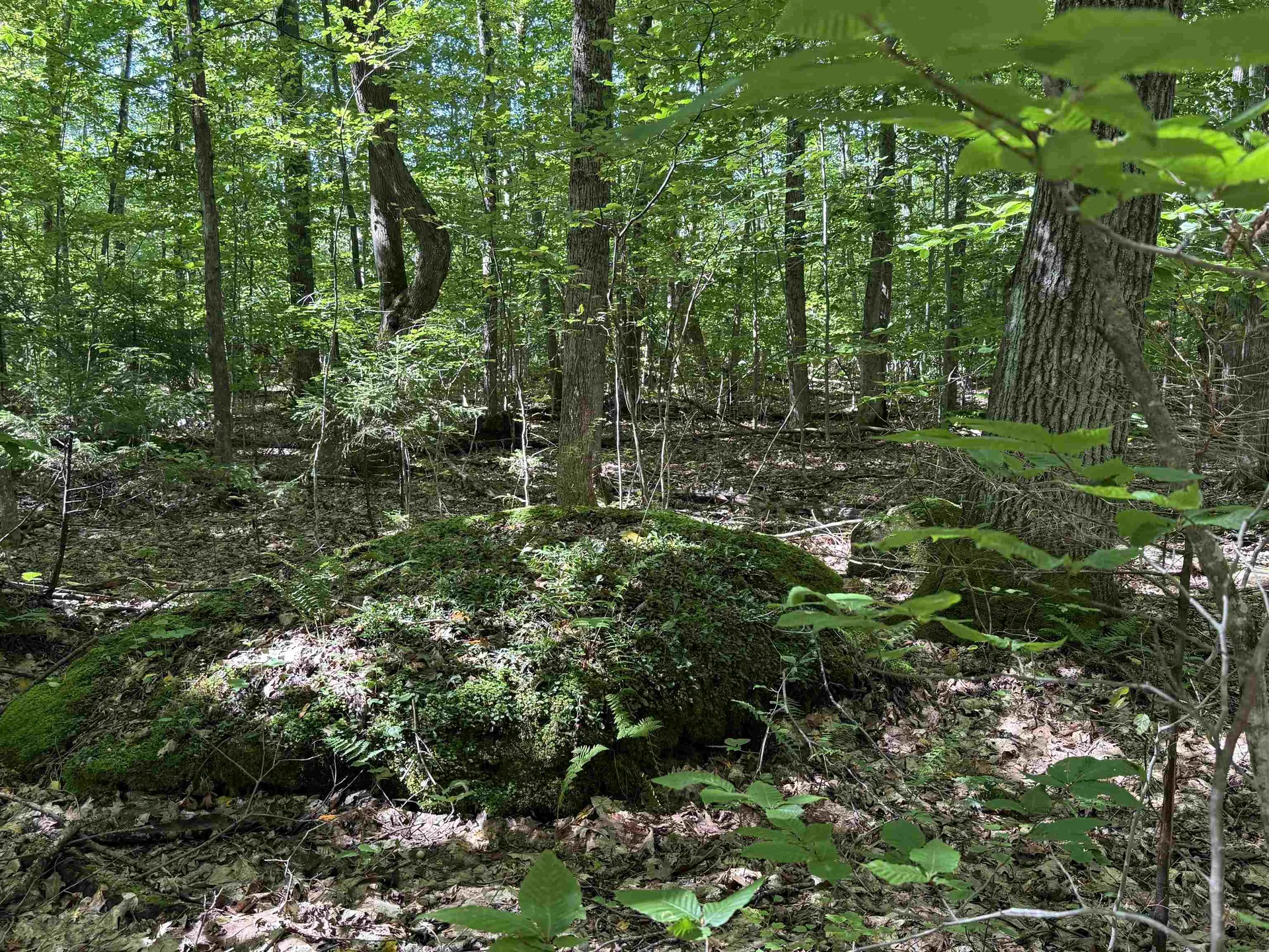 215 & 221 Vt Route 30 Dorset VT 05251