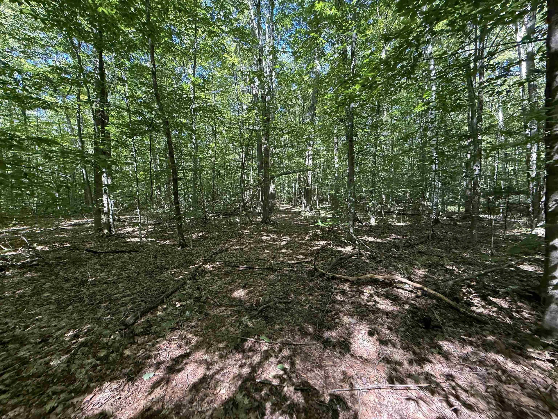 215 & 221 Vt Route 30 Dorset VT 05251