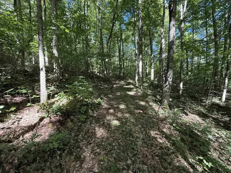 215 & 221 Vt Route 30 Dorset VT 05251