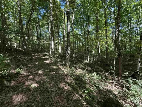 215 & 221 Vt Route 30 Dorset VT 05251