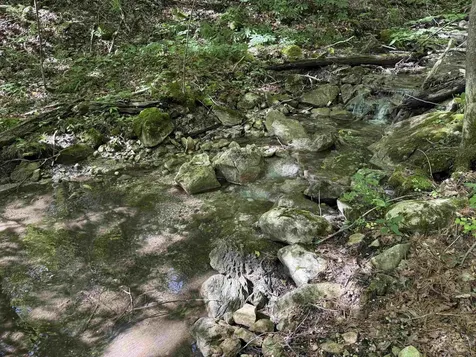 215 & 221 Vt Route 30 Dorset VT 05251