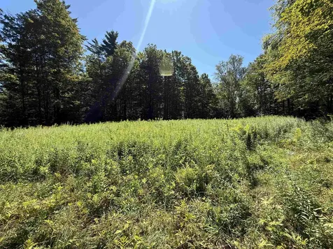 215 & 221 Vt Route 30 Dorset VT 05251