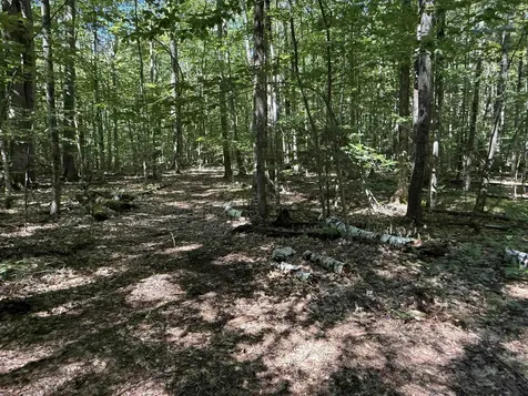 215 & 221 Vt Route 30 Dorset VT 05251