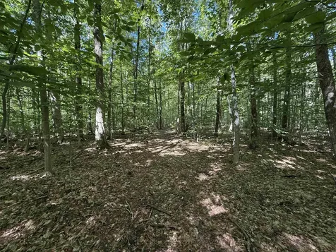 215 & 221 Vt Route 30 Dorset VT 05251