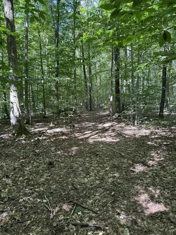 215 & 221 Vt Route 30 Dorset VT 05251