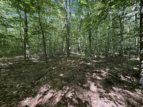 215 & 221 Vt Route 30 Dorset VT 05251