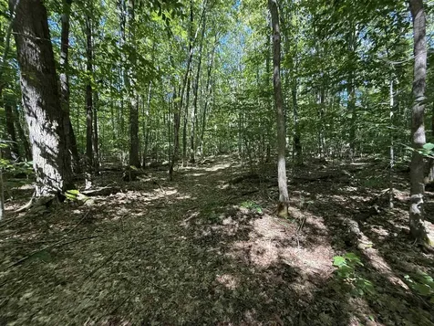 215 & 221 Vt Route 30 Dorset VT 05251