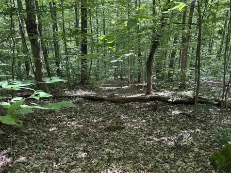 215 & 221 Vt Route 30 Dorset VT 05251