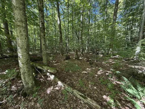 215 & 221 Vt Route 30 Dorset VT 05251