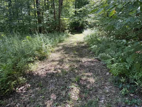 215 & 221 Vt Route 30 Dorset VT 05251