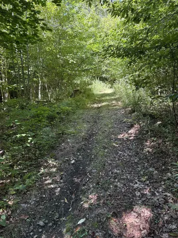 215 & 221 Vt Route 30 Dorset VT 05251