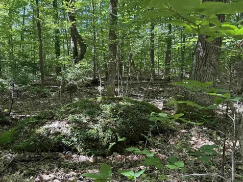 215 & 221 Vt Route 30 Dorset VT 05251