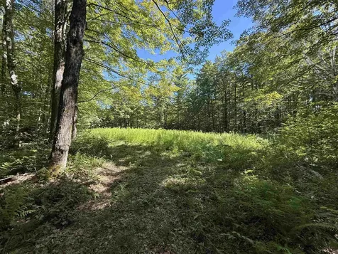 215 & 221 Vt Route 30 Dorset VT 05251
