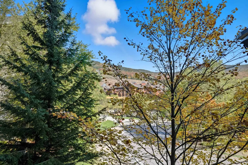 7412 Mountain Road Stowe VT 05672