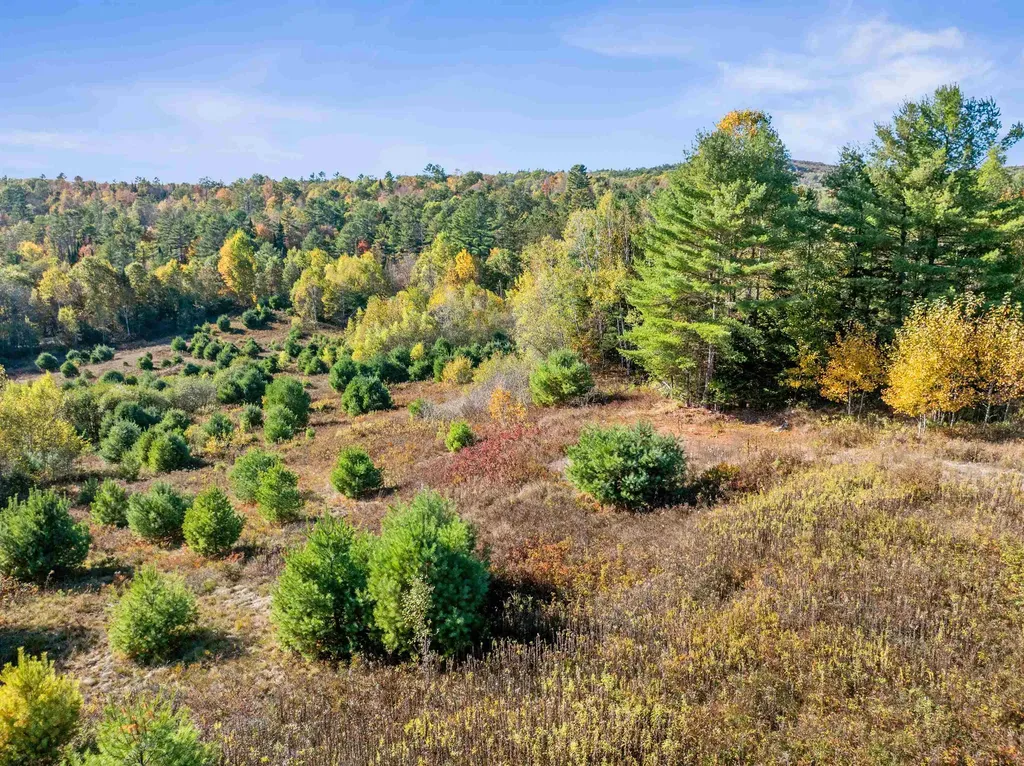 113 Buck Ridge Road Lisbon NH 03585