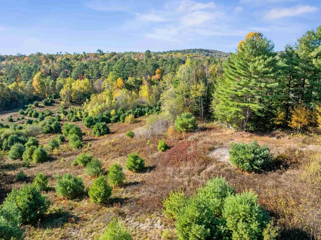 113 Buck Ridge Road Lisbon NH 03585