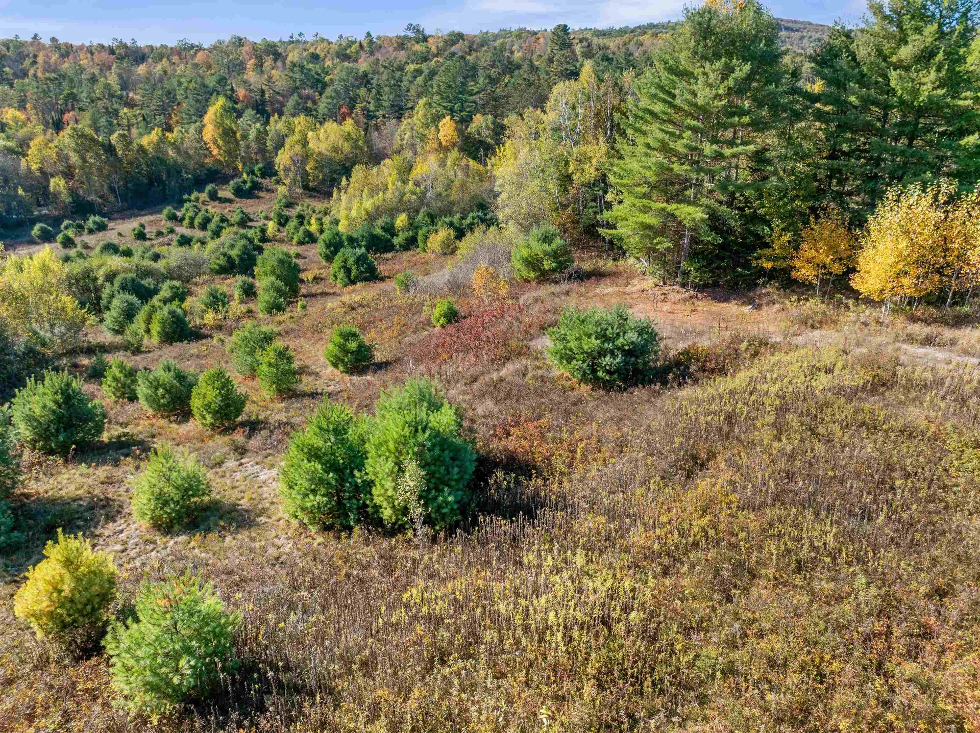 113 Buck Ridge Road Lisbon NH 03585