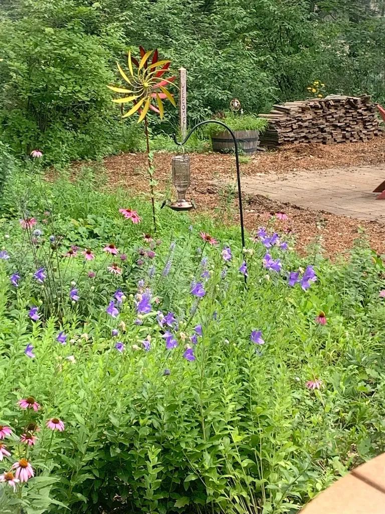 58 Crossbow Lane Conway NH 03860