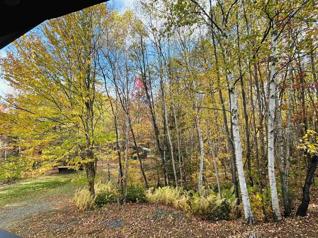 51 Baldwin Lane Clarksville NH 03592