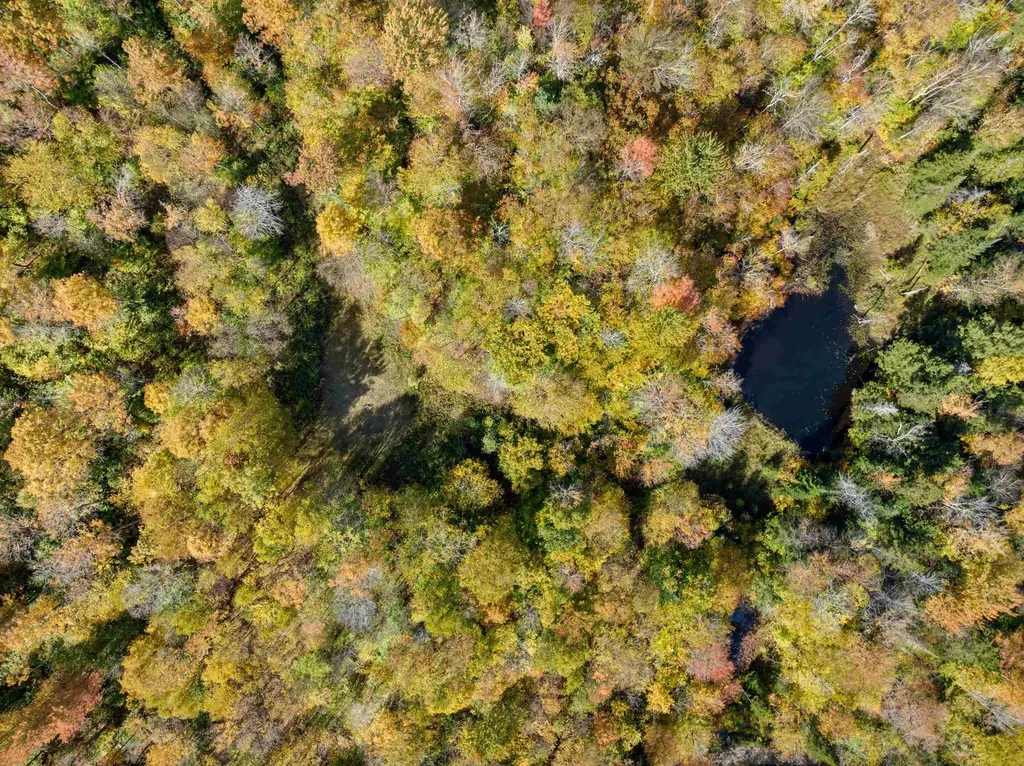 00 Jones Lane Wolcott VT 05680