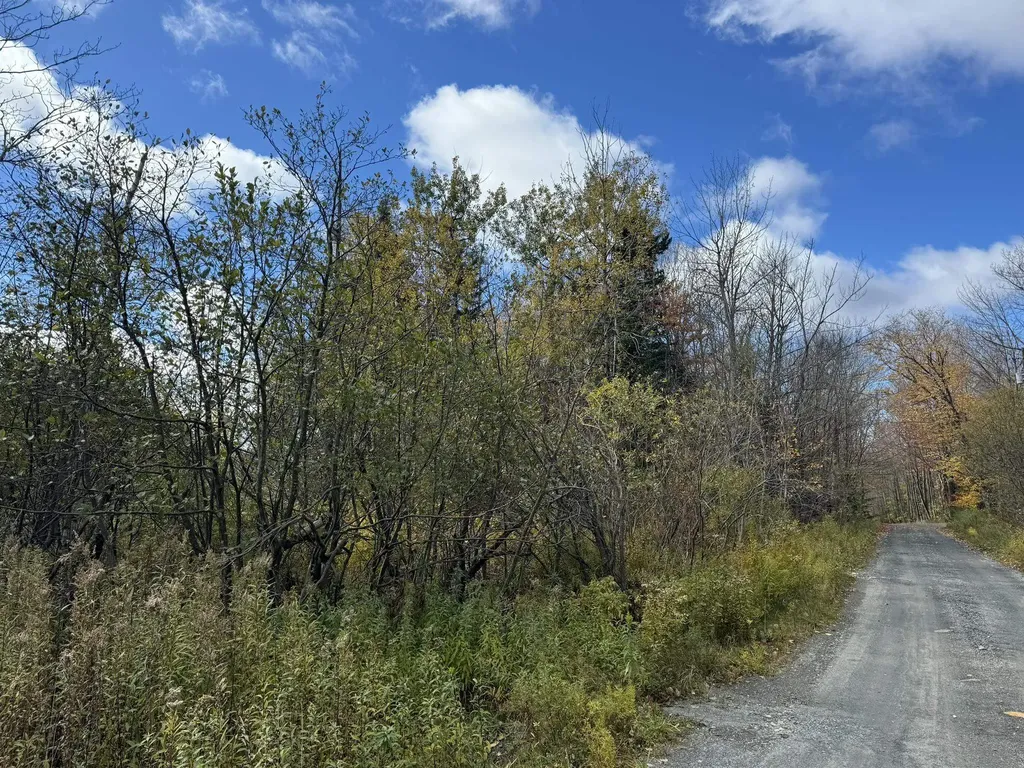 298 Dover Hill Road Dover VT 05356