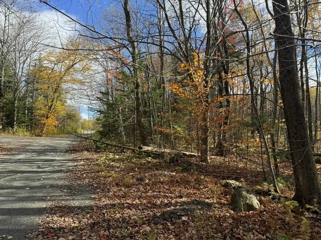 298 Dover Hill Road Dover VT 05356