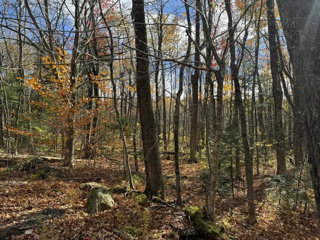 298 Dover Hill Road Dover VT 05356